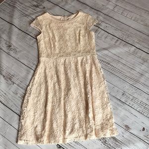 Dress Barn Cream Color Lace Dress